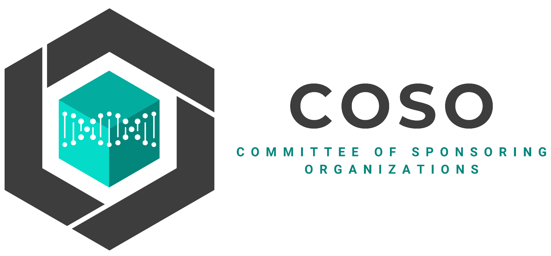 COSO Internal Control